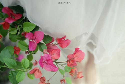 高考加油励志诗