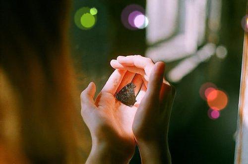 一个挺好的故事，欢迎看看