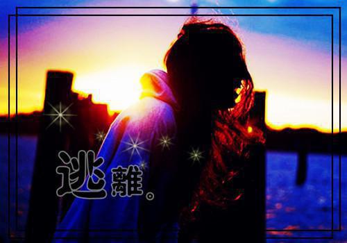 心已随风