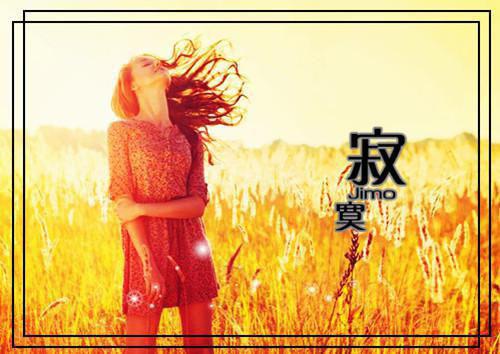 柿子树三十周年祭