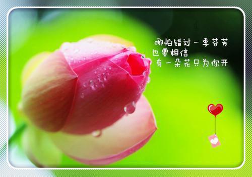 祝福爸爸生日的语句