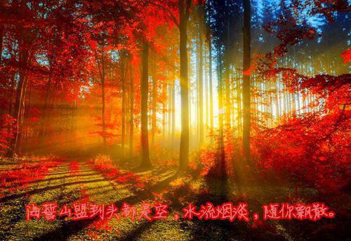 【精选】会计辞职报告汇编八篇