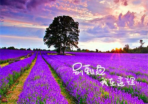 2023年最流行结婚祝福语