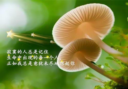 医生个人辞职报告