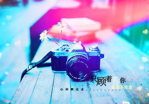 公司向个人借款合同范本常用版