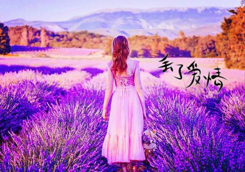 咏物诗——《定风波红梅》