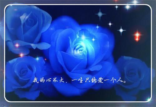 乐观拿破仑
