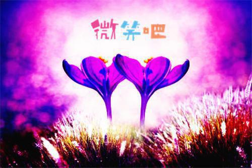 一个人的周末