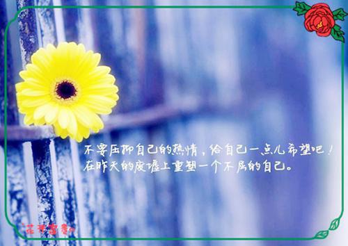 马伊琍说过最经典的话马伊琍经典的一句话