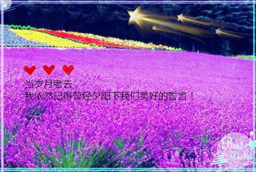 清洁工辞职报告范文