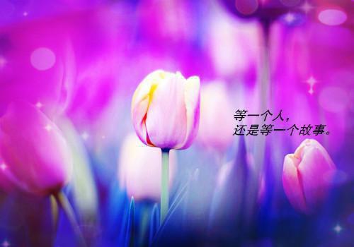 2023年财务总监上半年述职述廉报告范文