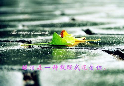 经典生日贺卡祝福语