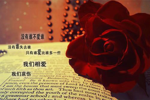 财务管理专业毕业生实习报告