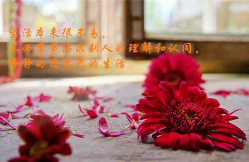 卡拉永远OK