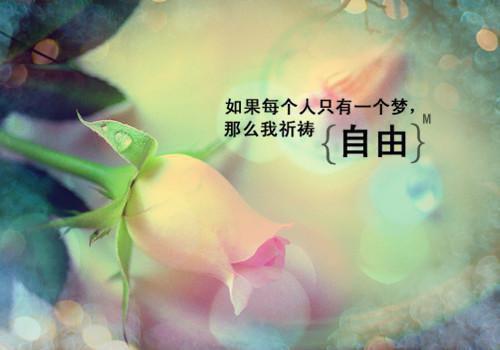 中学保卫科长述职报告范文