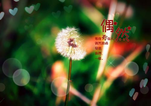 妈妈儿童睡前故事大全