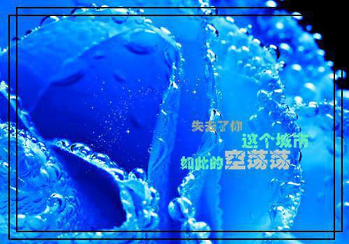 开业祝贺短信