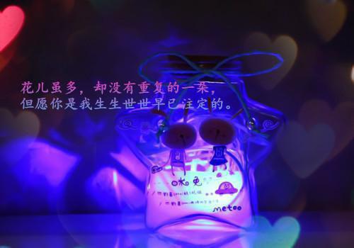 会计顶岗实习周记例文