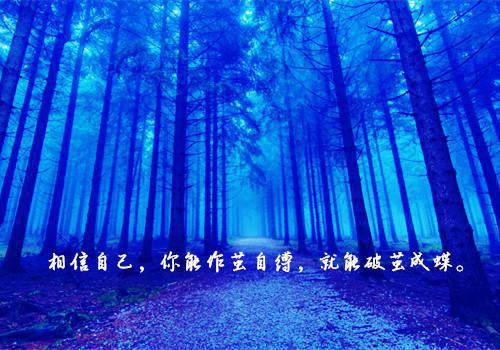 2023年会计的优秀辞职报告