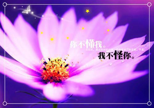 别哭我最爱的人散文