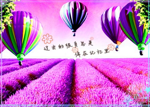 新年春节朋友祝福短信