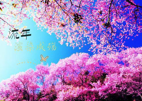 陆砚初唐知夏附加初心不负无尽夏：结局+番外免费品鉴（陆砚初唐知夏）全本浏览阅读连载中