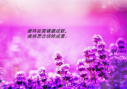 空白的温情：江程陈柚（江程陈柚）小说全文免费阅读无弹窗大结局_（空白的温情：江程陈柚）空白的温情：江程陈柚小说全文免费阅读最新章节列表笔趣阁（空白的温情：江程陈柚）