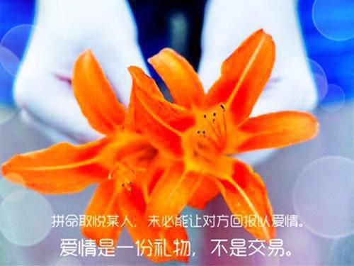 最感人的一句话语录