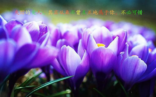 领导干部个人年终总结