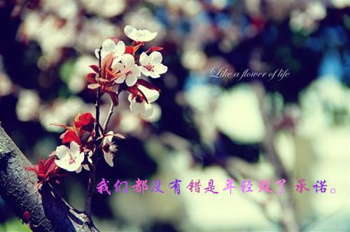 关于鼓励自己的人生格言
