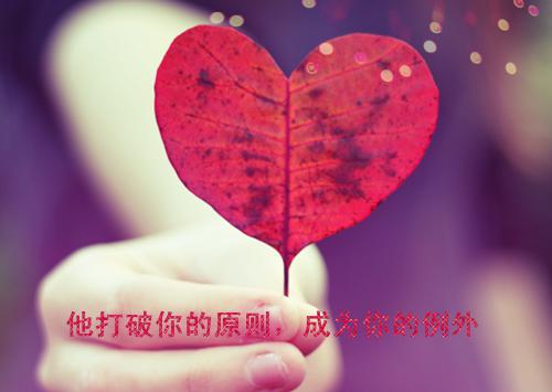 关于护士辞职报告模板合集八篇