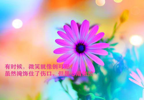 勿忘我现代诗歌
