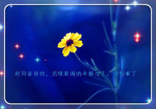 私立教师辞职报告