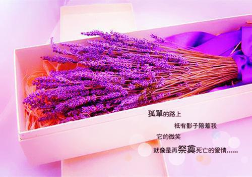 关于美好爱情的散文