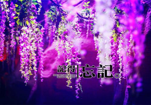 寓言故事家龙和野龙阅读及寓意