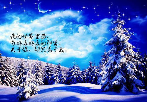 《叶问1》经典台词