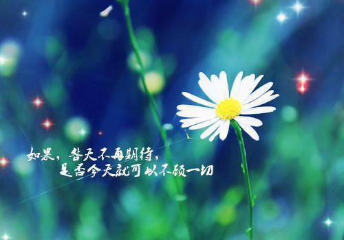 精选会计辞职报告范文汇总八篇