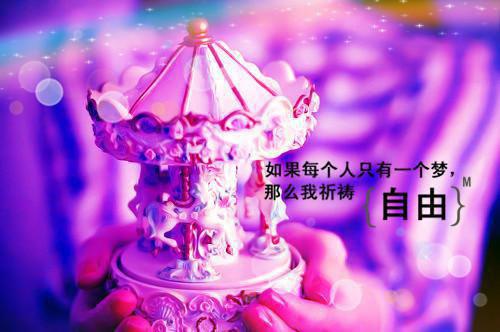 向思浓裴延小说(向思浓裴延)小说结尾+隐藏篇章（向思浓裴延）畅享阅读