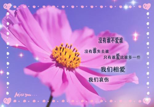 展望未来的诗句——《草木有本心》