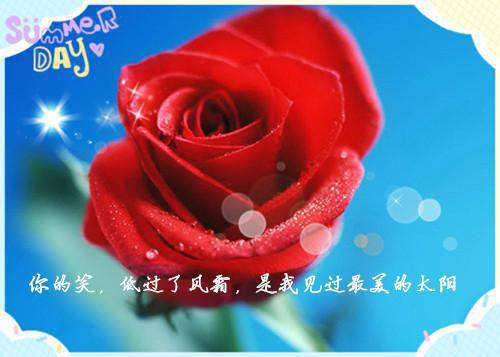 优秀少先队员申请书范文