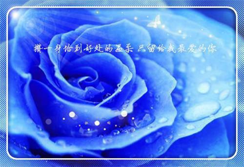人生感悟句子与图片