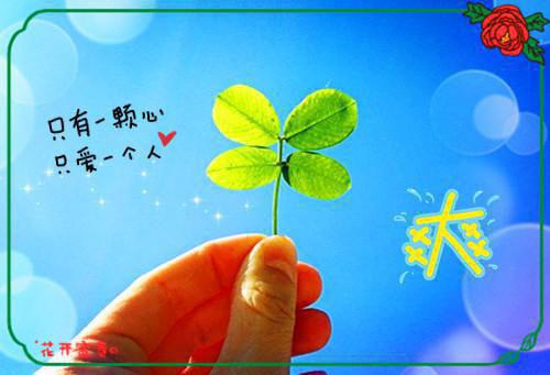 作文一次成功的经历500字
