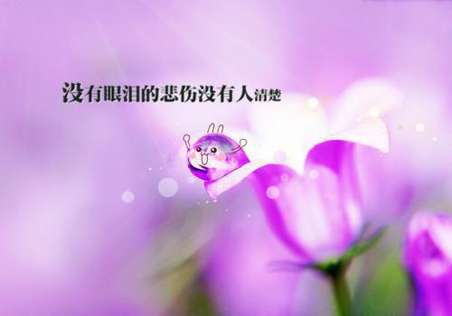 2023年度办公总结报告
