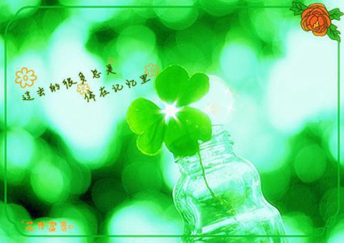 陈欧创业励志故事