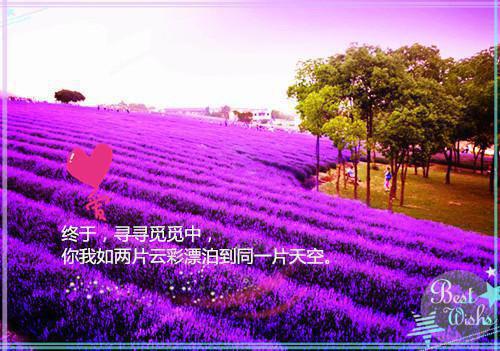 关于孙膑的故事孙膑诈疯巧脱身