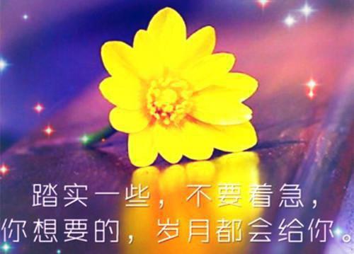 像朵朵一样飞扬