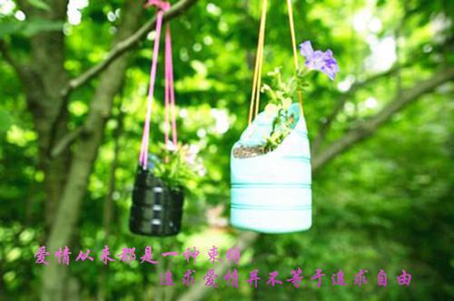 一句话经典语录2023