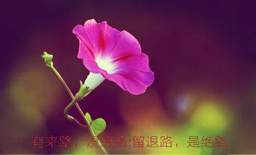 山水诗——《杭州春望》
