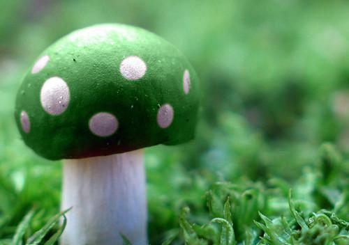 爱在天地间散文