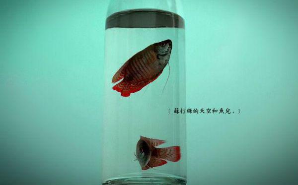 关于读书好的名言